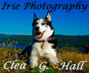 Irie Photography by Clea G. Hall